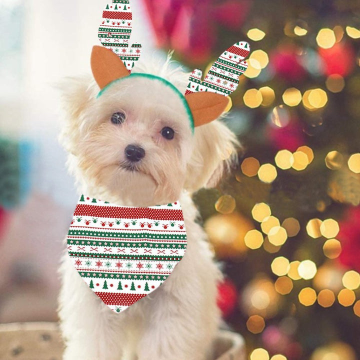 Fato de Natal com gola redonda e estampado para pais e filhos