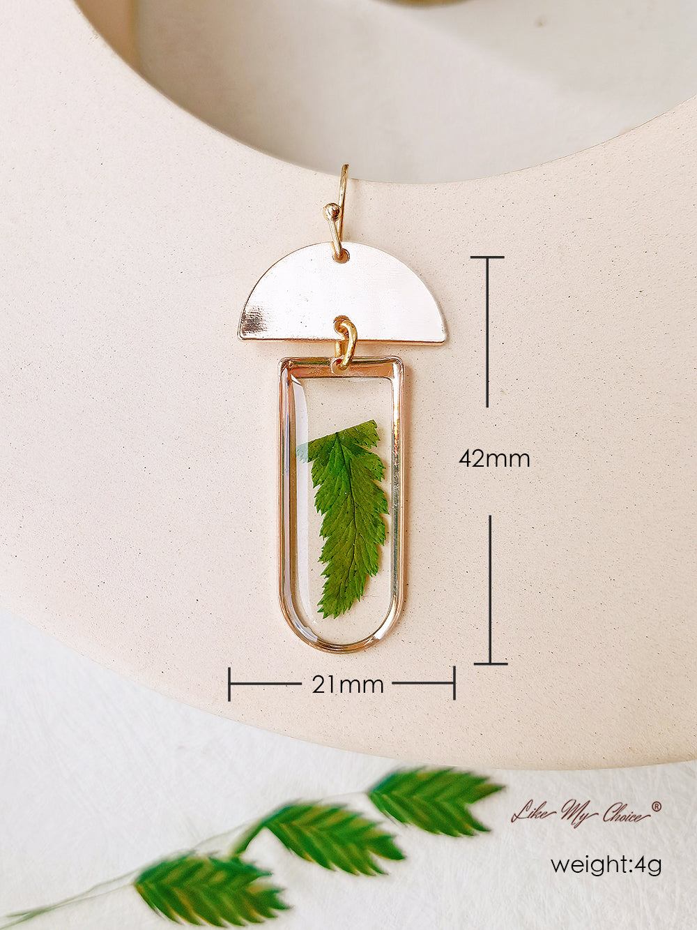 Window-shaped Brass Frames Pressed Fern Earrings