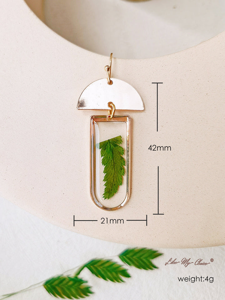 Window-shaped Brass Frames Pressed Fern Earrings