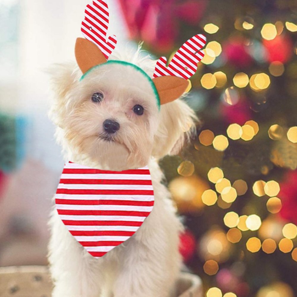 Conjunto de pijama familiar a rayas con estampado navideño ELF